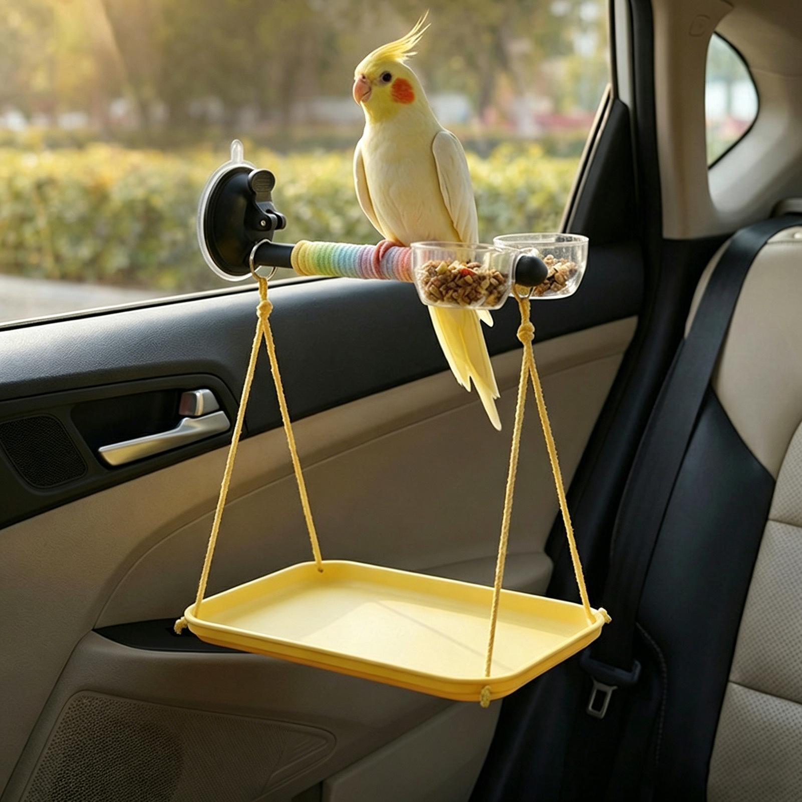 Kids Outdoor Car - Bird Perch with Suction Cup and